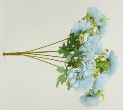 Mountain Peonies Bunch 6x3